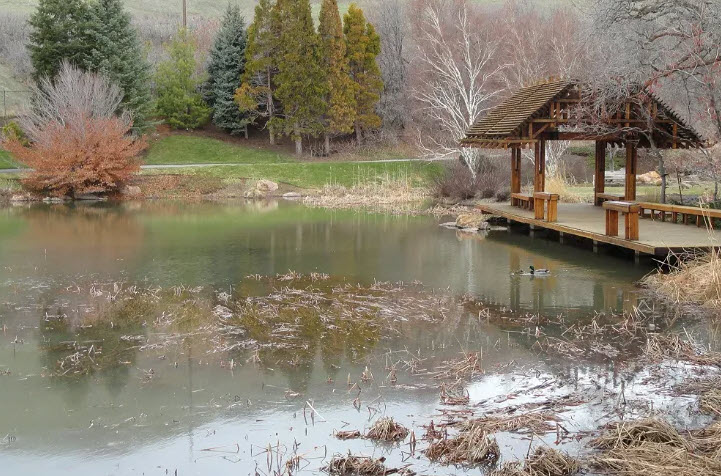 Petersen Arboretum, United States